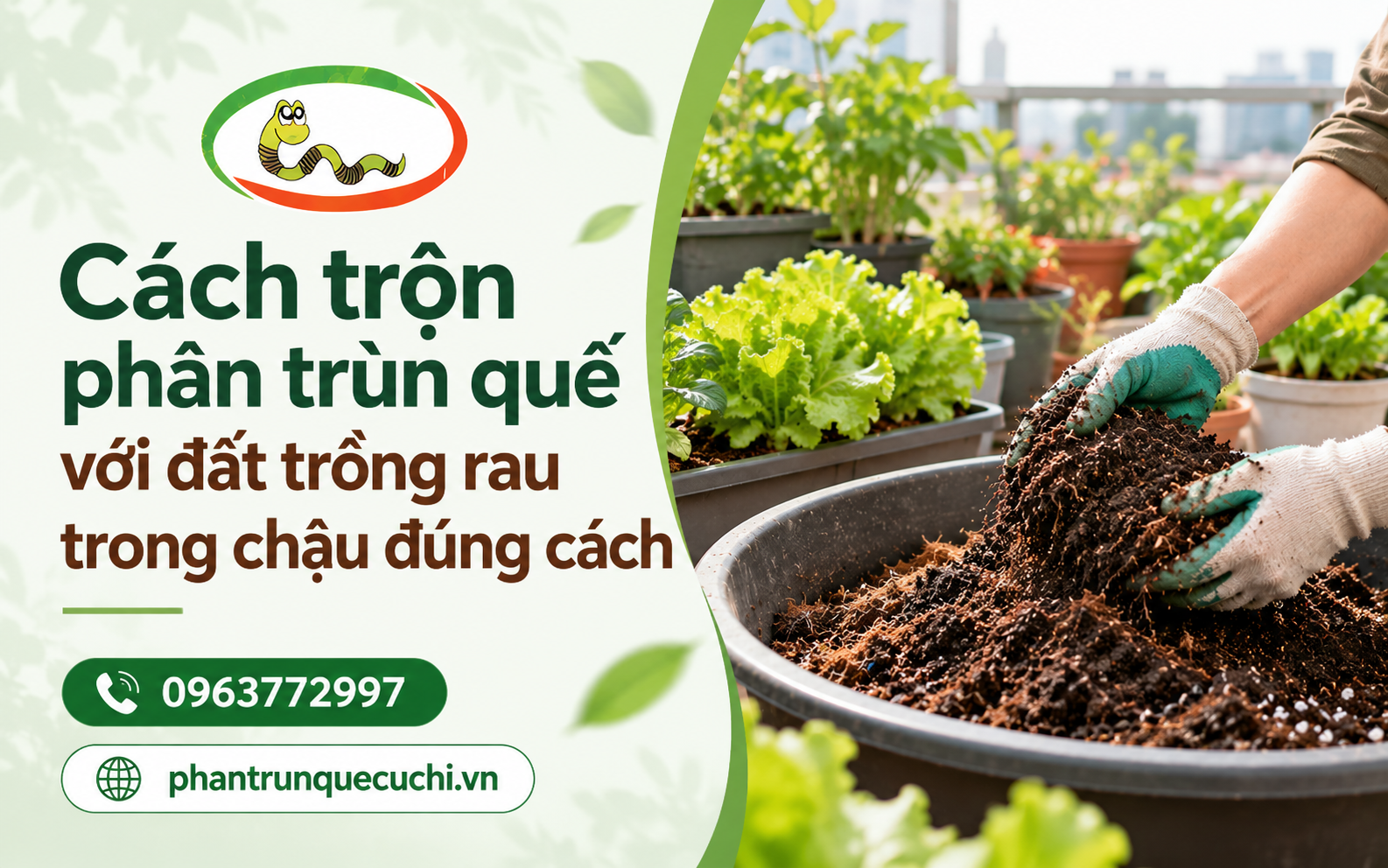 Trùn quế, phân trùn quế và các sản phẩm từ trùn quế là những giải pháp hữu cơ được ứng dụng trong trồng trọt