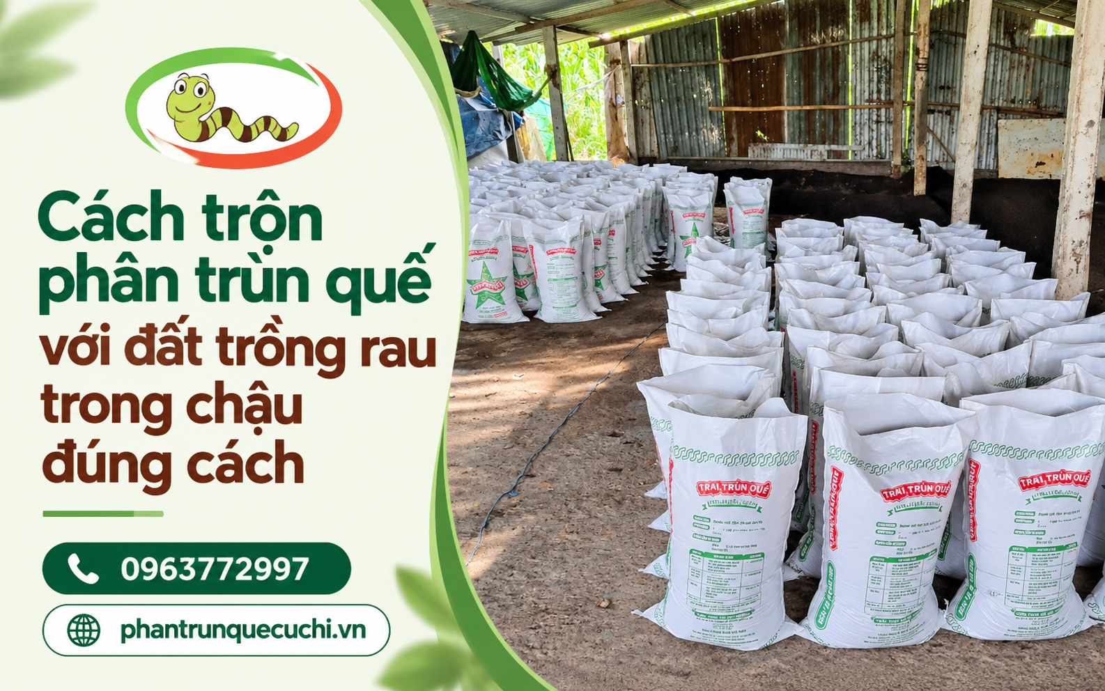 Trại Trùn Quế Củ Chi cung cấp thông tin và tư vấn về phân trùn quế, giúp khách hàng lựa chọn sản phẩm phù hợp với nhu cầu canh tác