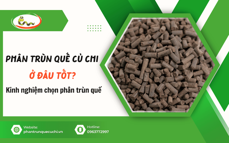 phân trùn quế Củ Chi