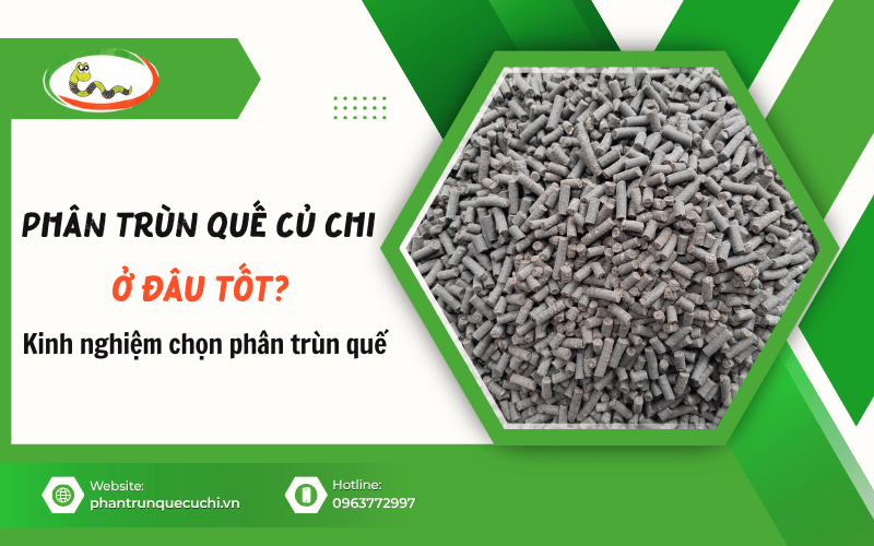 phân trùn quế Củ Chi