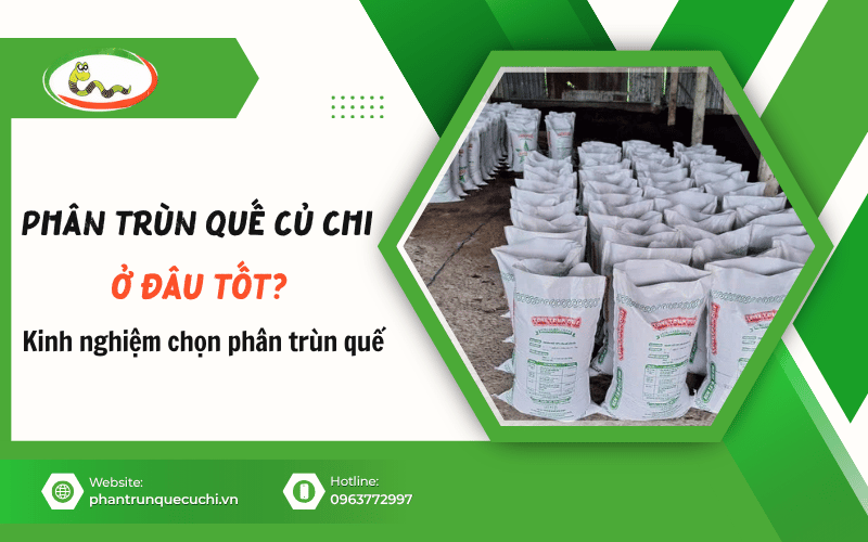 phân trùn quế Củ Chi