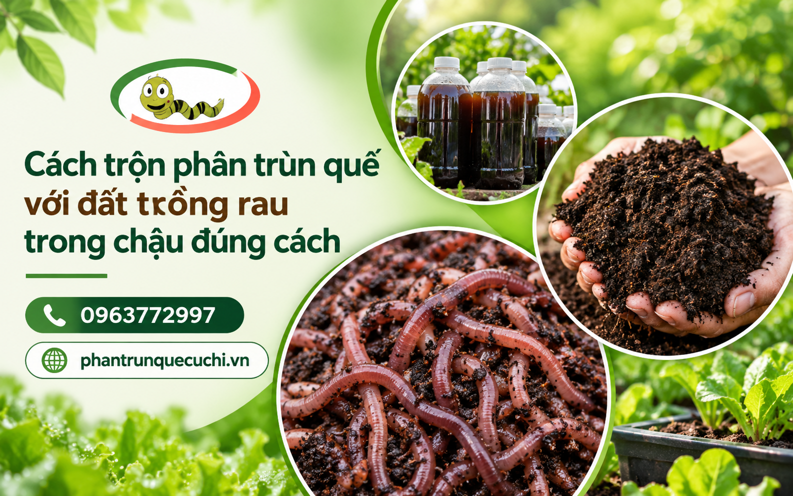 Phân trùn quế giúp bổ sung chất hữu cơ, hỗ trợ cải thiện độ tơi xốp của đất trồng rau trong chậu