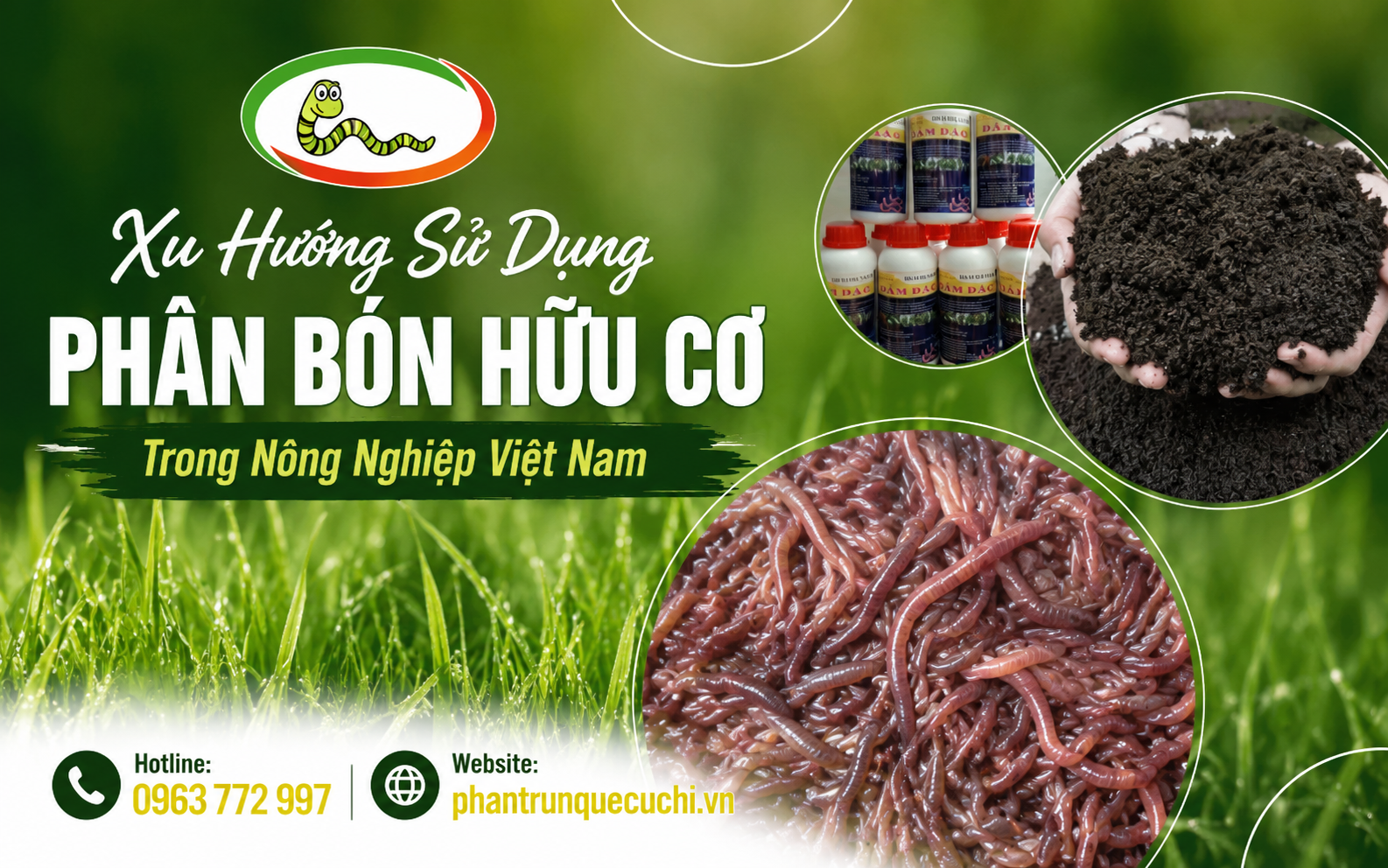 Trại trùn quế củ chi