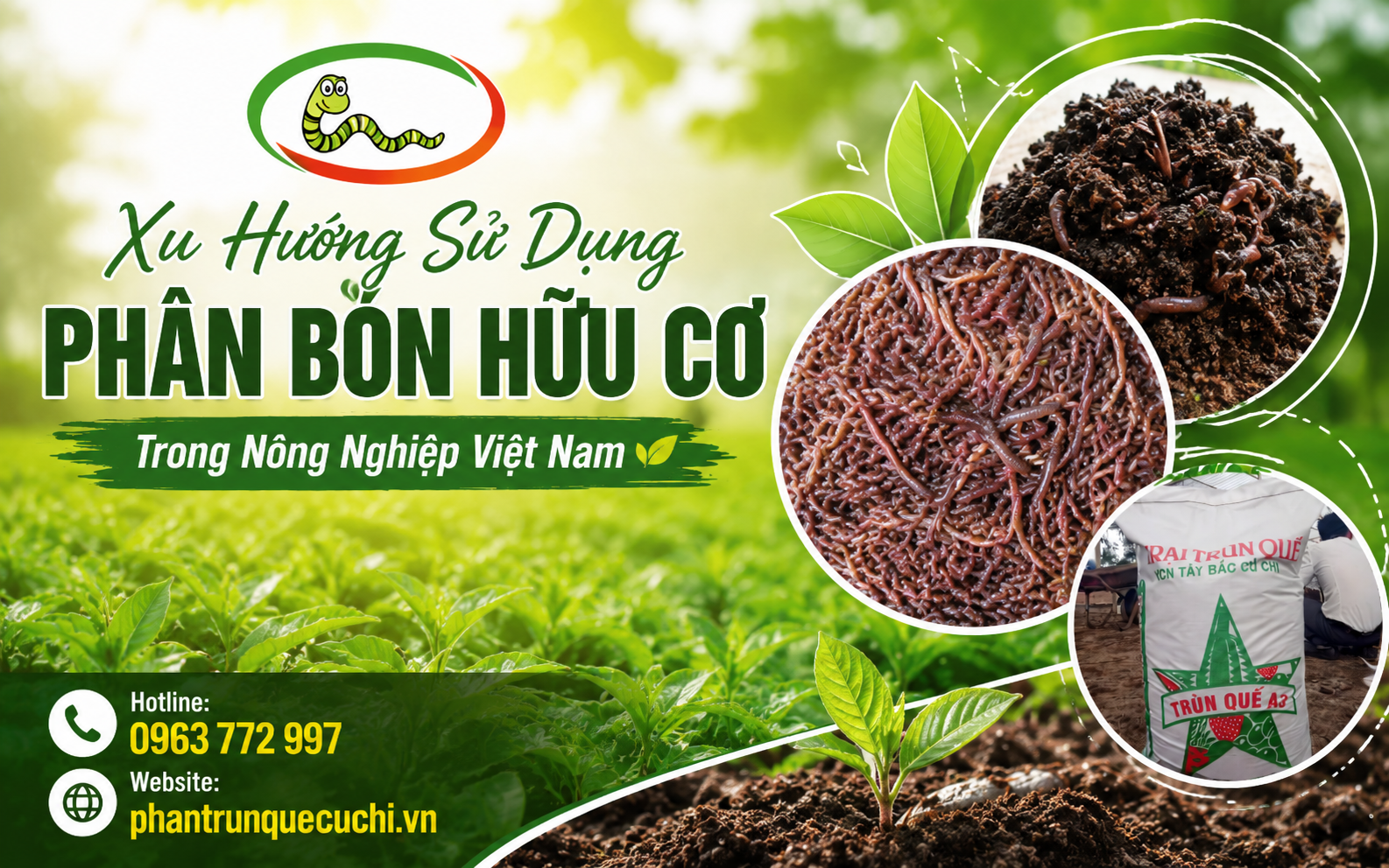 Trùn Quế củ chi, khu công nghiệp tây bắc củ chi
