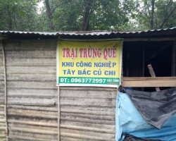 HÌNH ẢNH TRẠI TRÙN QUẾ 1