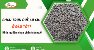 Mua phân trùn quế Củ Chi ở đâu tốt? Kinh nghiệm chọn phân trùn quế cho cây trồng