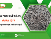 Mua phân trùn quế Củ Chi ở đâu tốt? Kinh nghiệm chọn phân trùn quế cho cây trồng