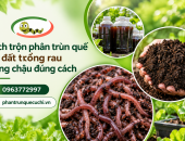 Cách trộn phân trùn quế với đất trồng rau trong chậu đúng cách